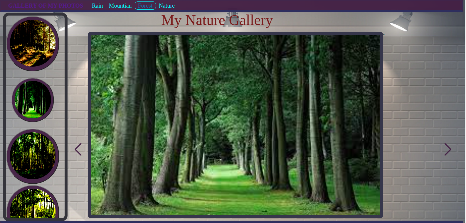 Web Gallery